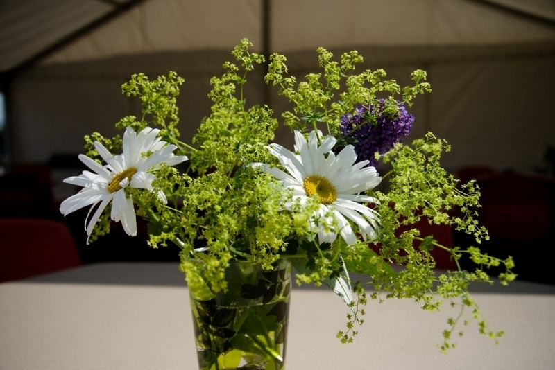 ../Images/20110709 103349 Gill's flowers.jpg